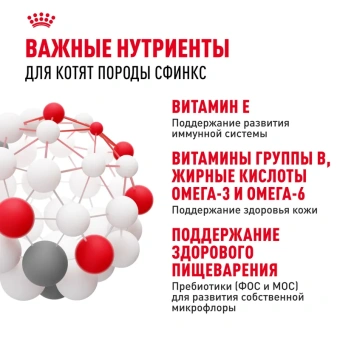 Киттен Сфинкс 0,4кг