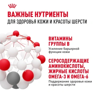 Хэйр Энд Скин Кэа Кошка 2 кг