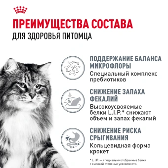 Дайджестив Кэа Кошка 2 кг