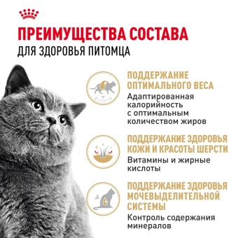 Британская короткошерстная соус 12*0,085кг