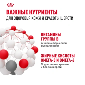 Мини Дерма Комфорт 3кг (цена за 1 кг)