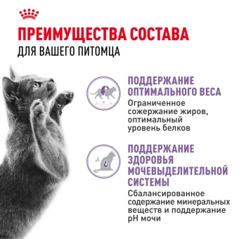 Стерилайз желе 85 гр
